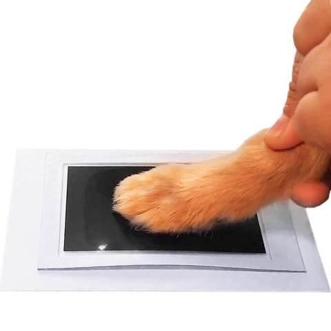Doggies Merch® Paw Print Stamp Pad