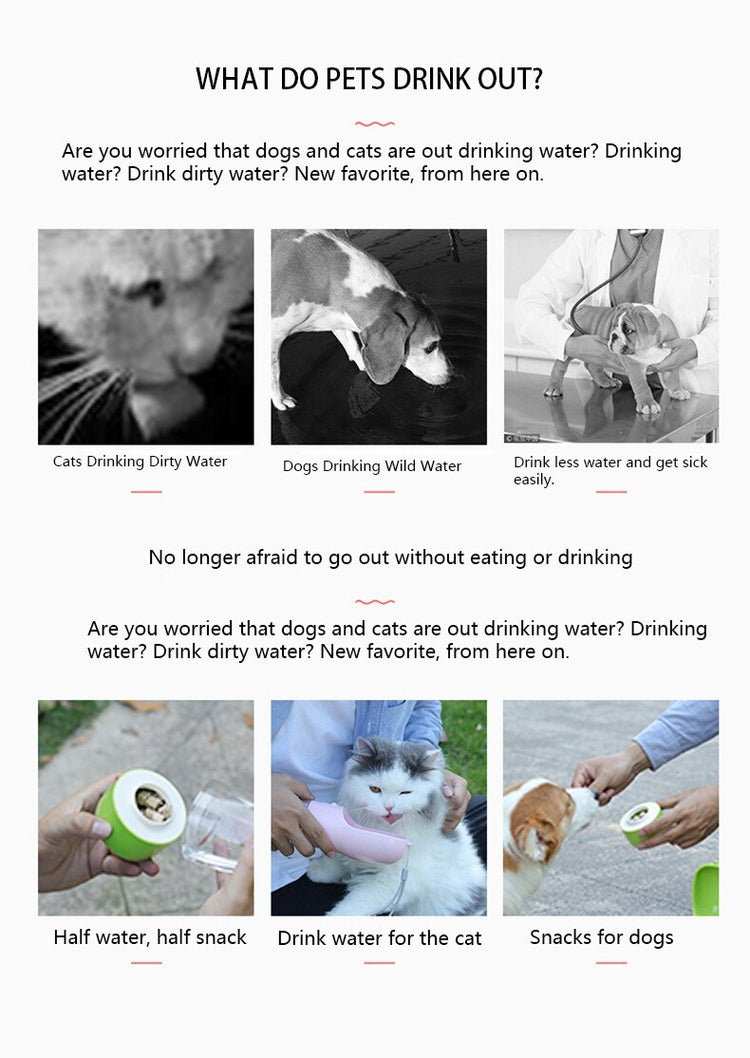 Doggies Merch® Food & Water Bottle