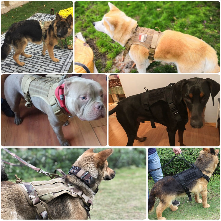 Doggies Merch® Tactical Harness