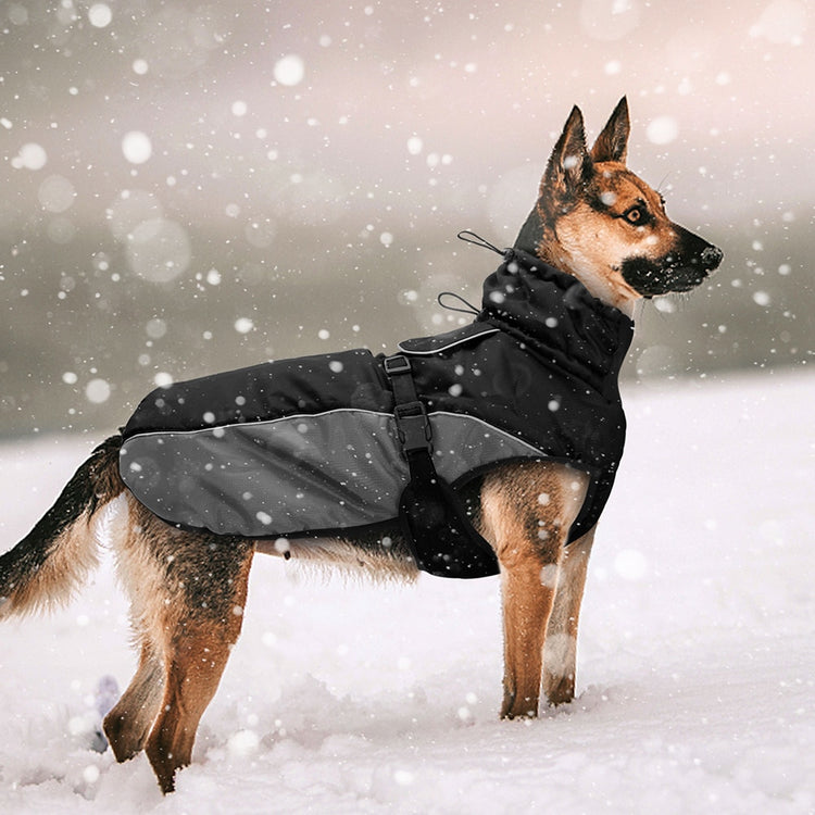 Doggies Merch® Winter/Autumn Jackets