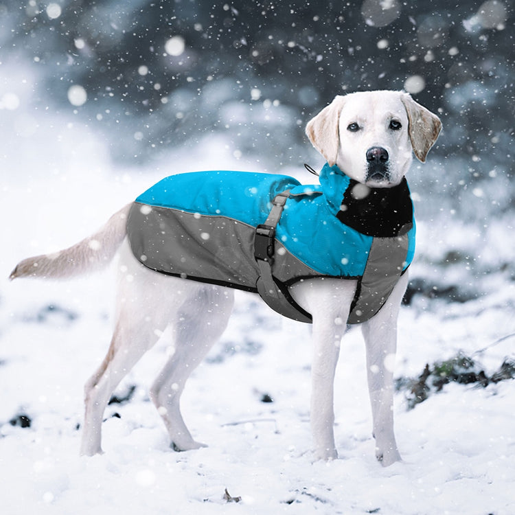 Doggies Merch® Winter/Autumn Jackets