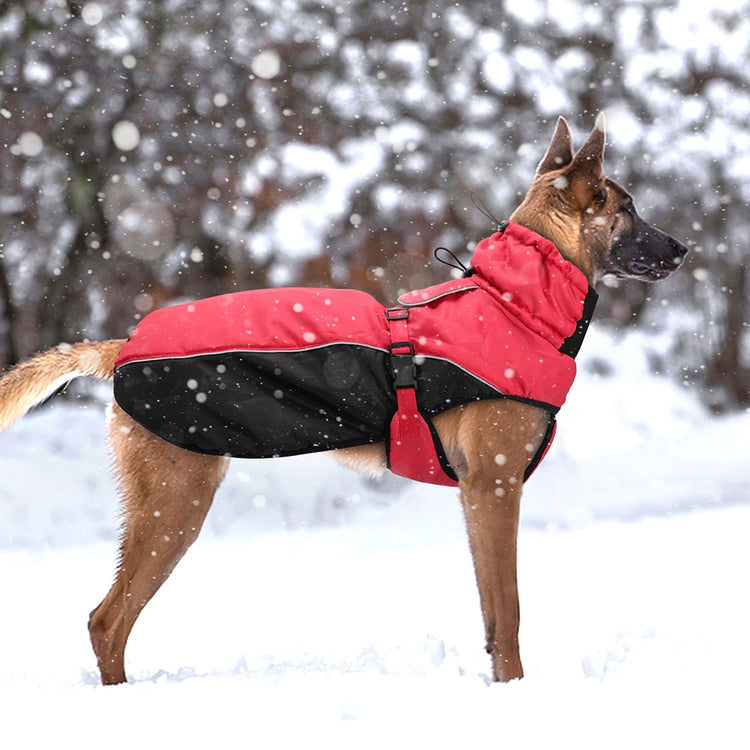 Doggies Merch® Winter/Autumn Jackets