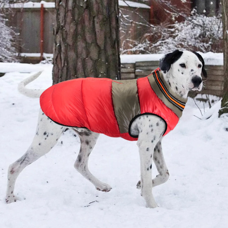 Doggies Merch® Winter/Autumn Jackets